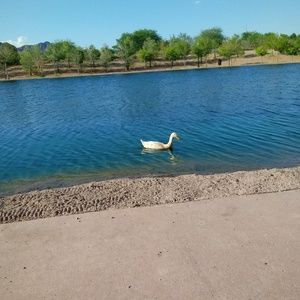 Meet your Posher, Joi